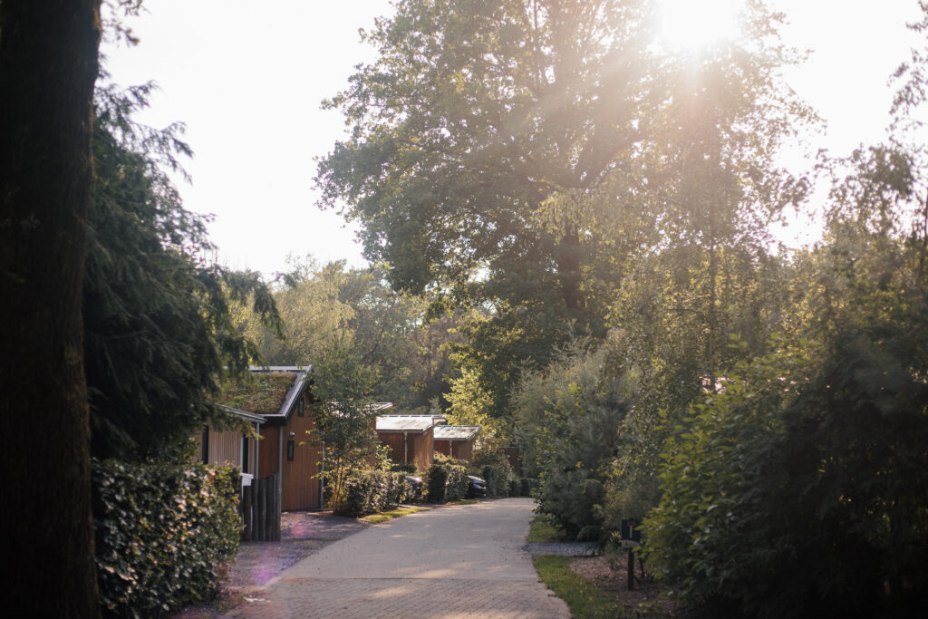 park omgeving